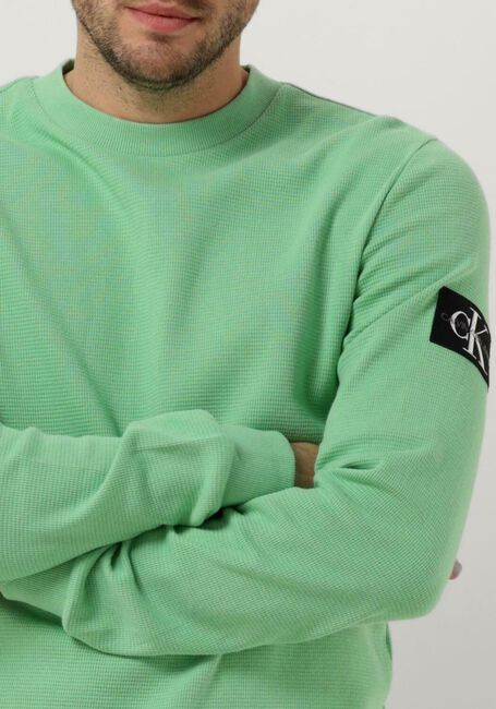 Groene CALVIN KLEIN Sweater MONOLOGO BADGE WAFFLE LS TEE - large