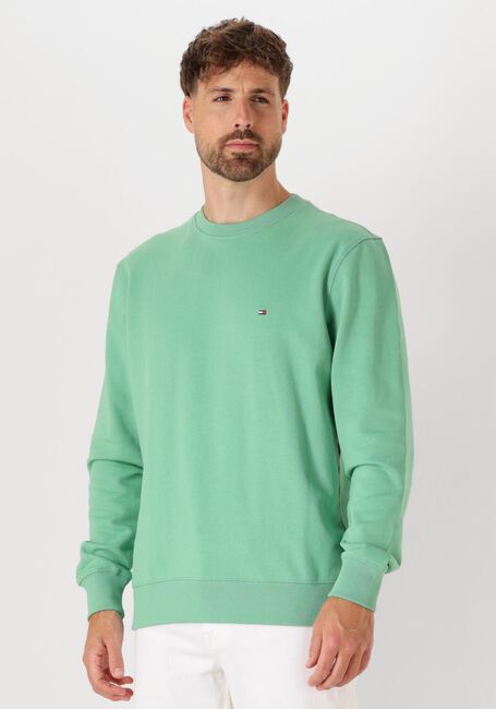 Groene TOMMY HILFIGER Trui ESSENTIAL TERRY CREWNECK - large