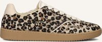 NUBIKK RAY OWEN STUDS NUBIKK RAY OWEN STUDS - medium