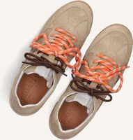 Beige SHABBIES Lage sneakers APRIL MINA Beige SHABBIES Lage sneakers APRIL MINA - medium