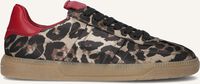 Beige KENNEL & SCHMENGER Lage sneakers 22670 Beige KENNEL & SCHMENGER Lage sneakers 22670 - medium