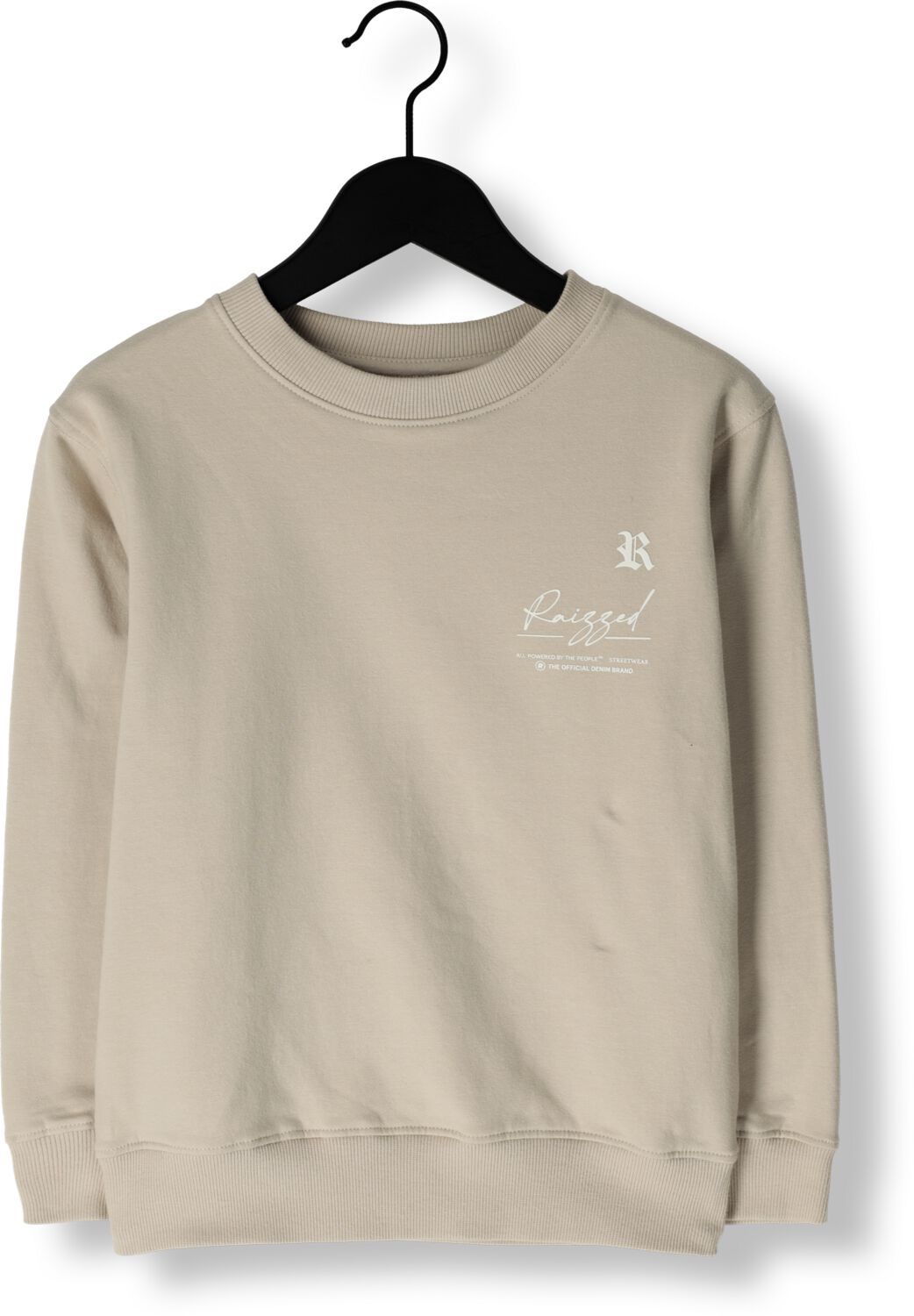 RAIZZED Jongens Truien & Vesten Nile Beige