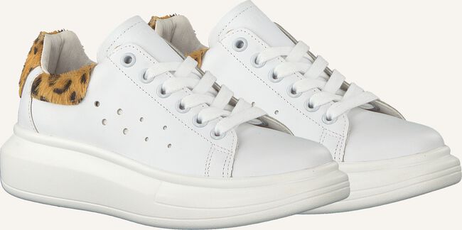 Witte BRAQEEZ Lage sneakers ALBA ALEX Witte BRAQEEZ Lage sneakers ALBA ALEX - large