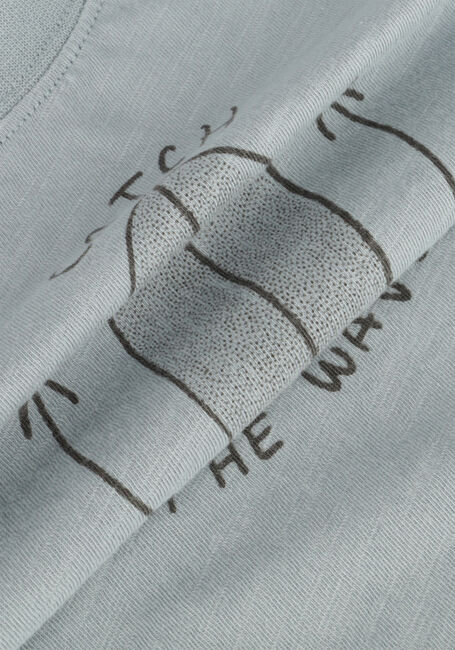 Lichtblauwe RYLEE + CRU T-shirt RELAXED TEE CATCH THE WAVE - large