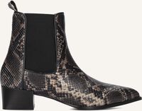 Grijze NOTRE-V Enkellaarsjes 36026 Grijze NOTRE-V Enkellaarsjes 36026 - medium