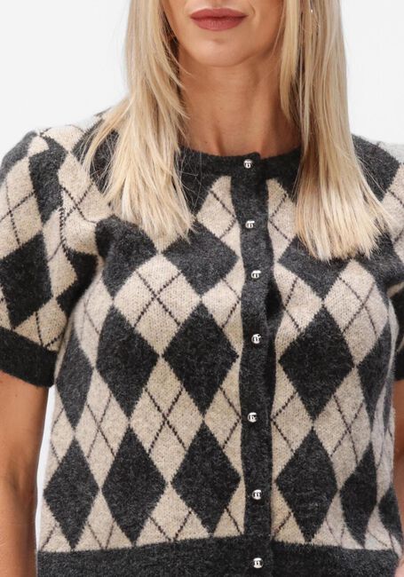Multi NEO NOIR Vest ALLESTAR CHECK KNIT CARDIGAN - large