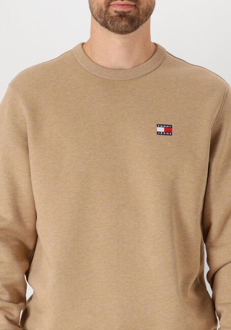 Bruine TOMMY JEANS Trui TJM REG BAGDE CREW EXT - large