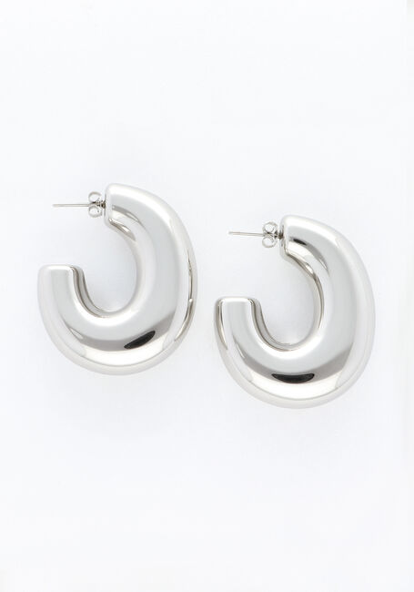 Zilverkleurig NOTRE-V Oorbellen EARRING BIG - large