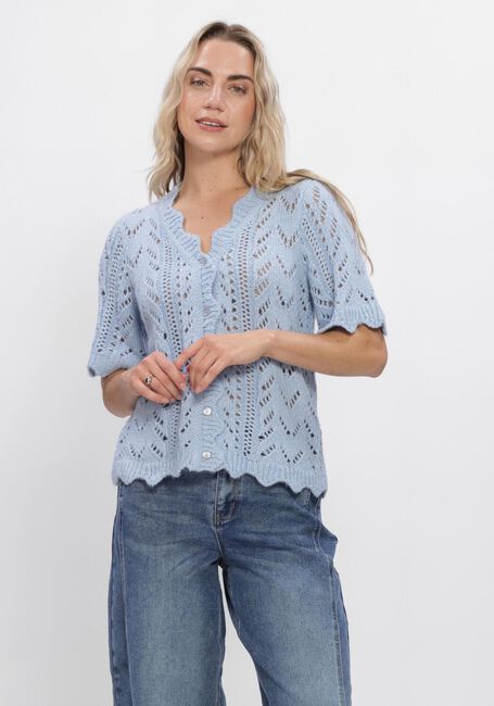 Lichtblauwe Y.A.S. Truien/vesten YASVIENNA SS KNIT CARDIGAN S. - large