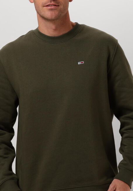 Donkergroene TOMMY JEANS Trui TJM REG S FLAG CREW - large