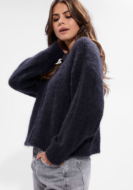 Donkergrijze DES PETITS HAUTS Vest CHOUETTE - large