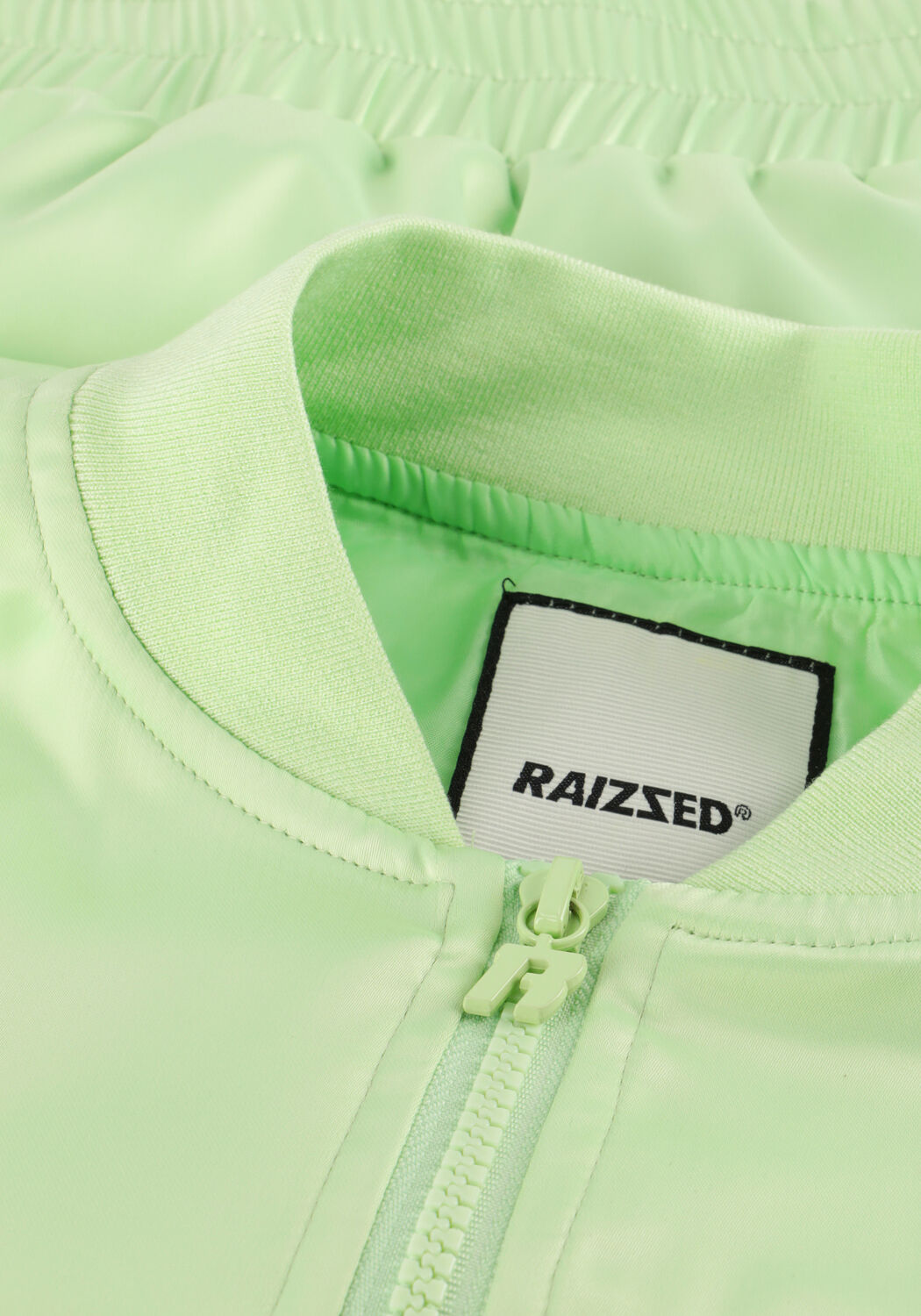 Mint RAIZZED Jack JULOT - large