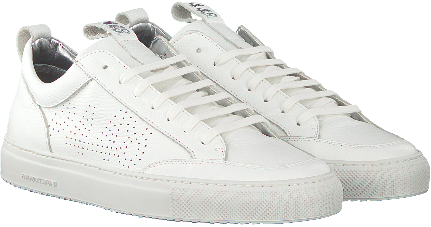 Blue P448 Sneakers ALEX - Omoda.com