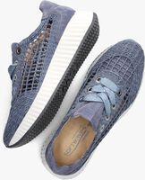Blauwe SOFTWAVES Lage sneakers 8.95.04 - medium