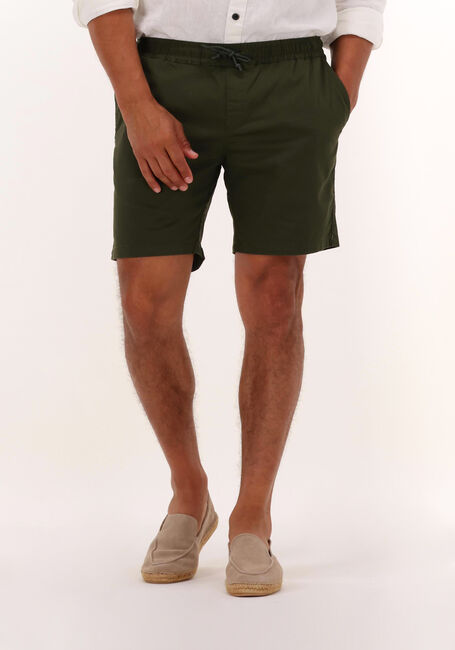Donkergroene ANERKJENDT Korte broek AKLT JIMMY SHORTS - large
