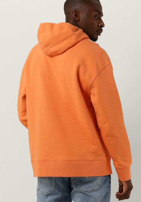 Oranje TOMMY JEANS Sweater TJM RLX XS BADGE HOODIE - large