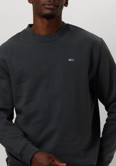 Grijze TOMMY JEANS Trui TJM REG S FLAG CREW - large