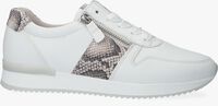 Witte GABOR Lage sneakers 420 - medium