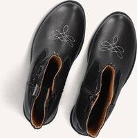 BUNNIESJR ROOS RODEO BUNNIESJR ROOS RODEO - medium