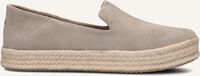 Beige TOMS Espadrilles CAROLINA Beige TOMS Espadrilles CAROLINA - medium