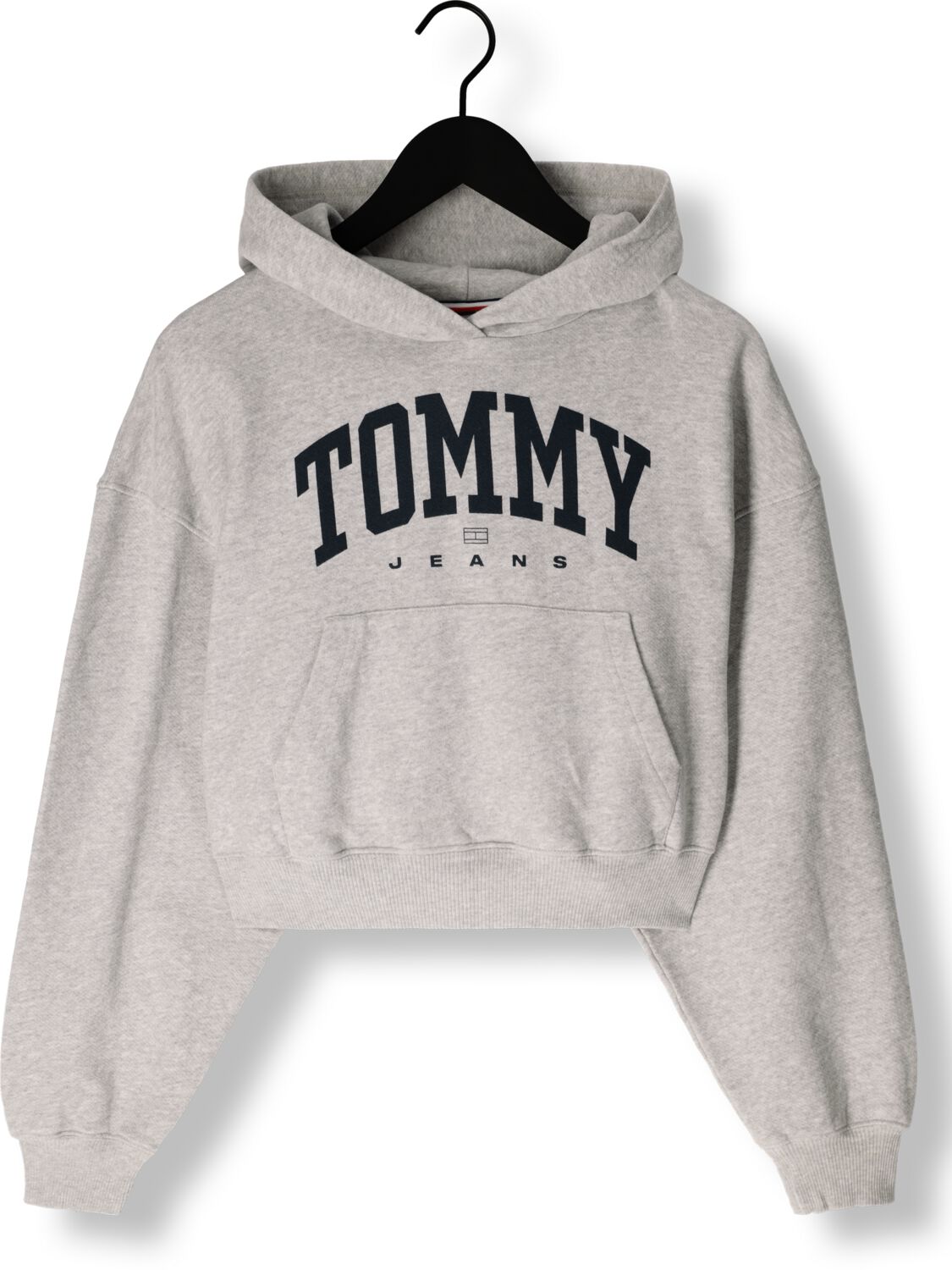 TOMMY JEANS Dames Truien & Vesten Tjw Vtg Varsity 1 Hoodie Lichtgrijs