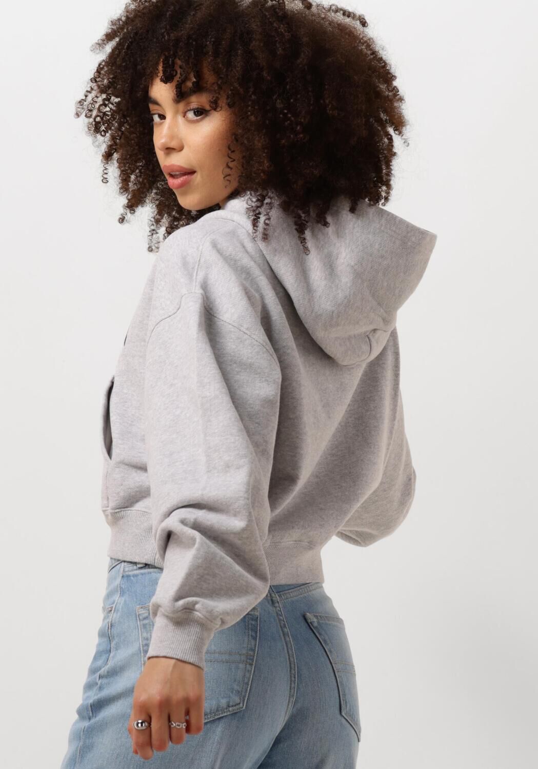 TOMMY JEANS Dames Truien & Vesten Tjw Vtg Varsity 1 Hoodie Lichtgrijs