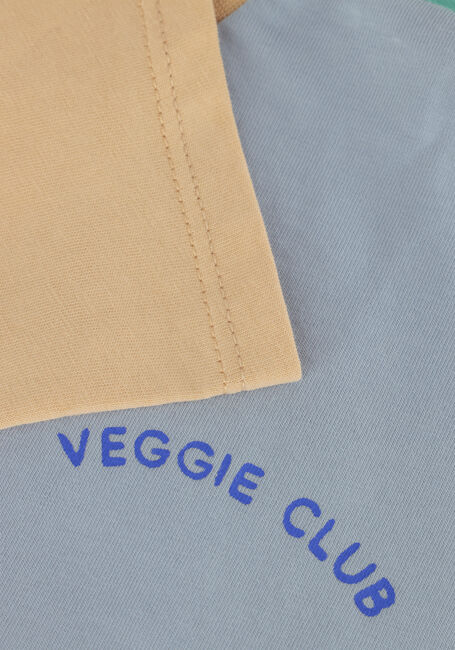 Blauwe Sproet & Sprout T-shirt T-SHIRT COLOURBLOCK - large