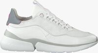 Witte FLORIS VAN BOMMEL Lage sneakers 85303 - medium