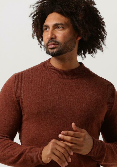 Bruine ANERKJENDT Trui AKRICO LAMBSWOOL KNIT - large