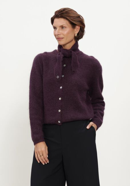 Paarse STUDIO ANNELOES Vest Bibi cardigan - large