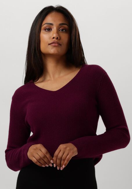 Paarse RESORT FINEST Trui V-NECK RIB KNIT - large