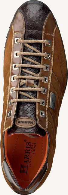 Cognac HARRIS Lage sneakers 5339 Cognac HARRIS Lage sneakers 5339 - large