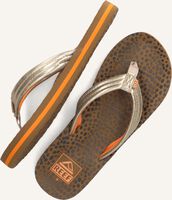 Gouden REEF Teenslippers AHI Gouden REEF Teenslippers AHI - medium