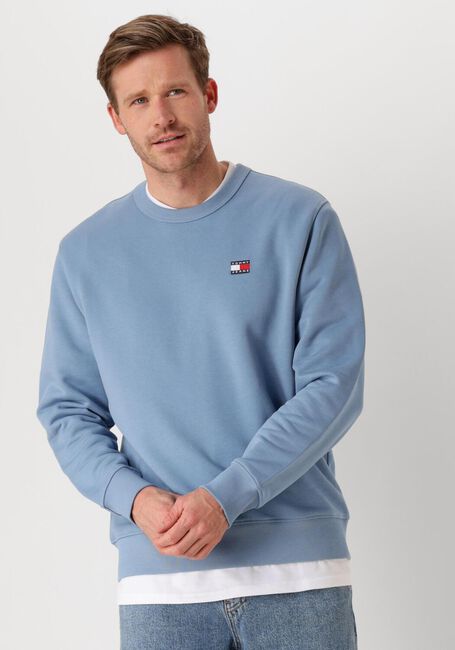 Blauwe TOMMY JEANS Trui TJM REG BADGE CREW EXT - large