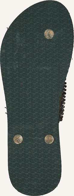 Groene UZURII Teenslippers GOLD FLY Groene UZURII Teenslippers GOLD FLY - large