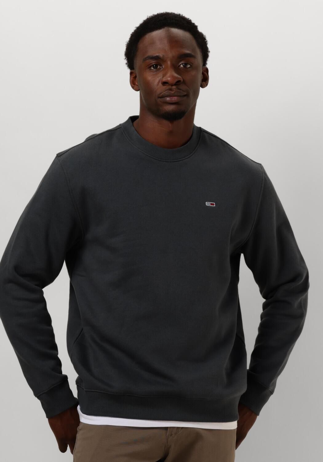 TOMMY JEANS Heren Truien & Vesten Tjm Reg S Flag Crew Grijs