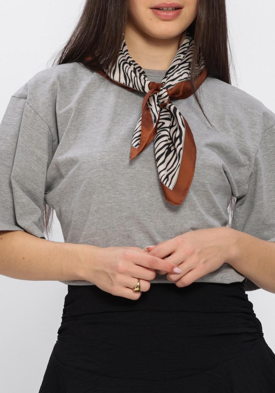 Grijze NEO NOIR T-shirt ASHA BOXY TEE - large