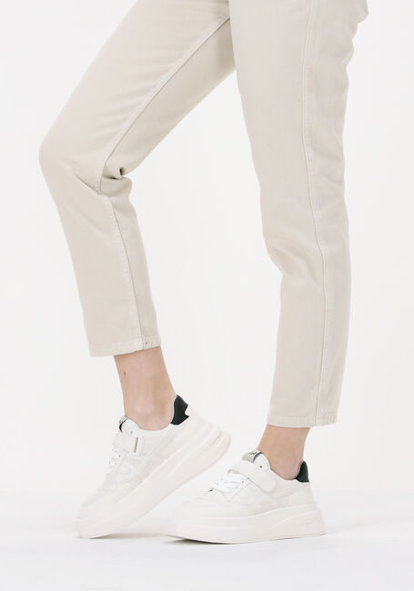 Witte ASH Lage sneakers INDY - large
