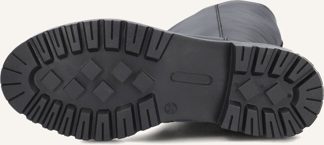 HIP H1624 HIP H1624 - large