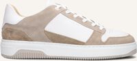 Witte NUBIKK Lage sneakers BASKET COURT HEREN Witte NUBIKK Lage sneakers BASKET COURT HEREN - medium
