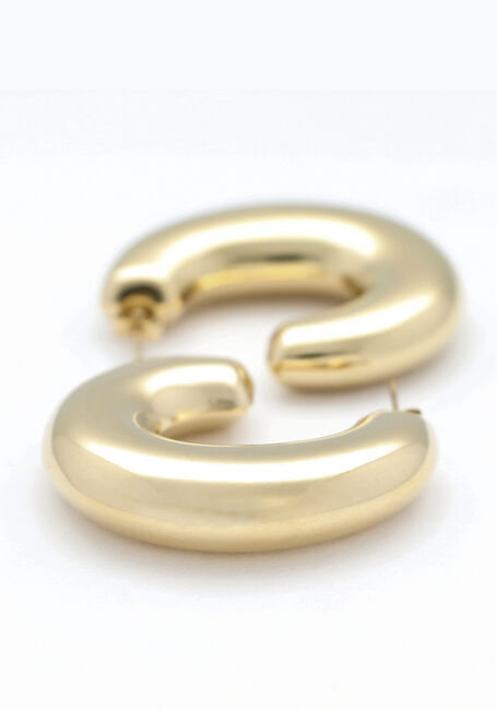 Goudkleurig NOTRE-V Oorbellen EARRING BIG - large