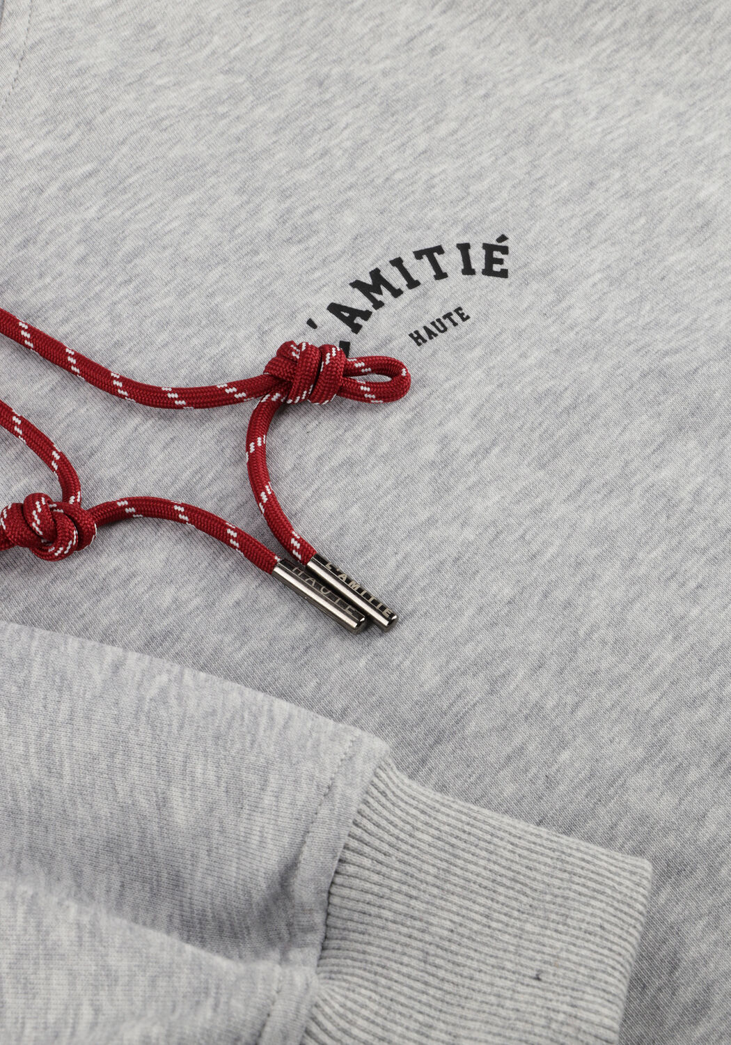 Lichtgrijze HAUTE L'AMITI&Eacute; Sweater MINI CURVE HOODIE SWEAT - large