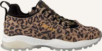 Bruine VINGINO Lage sneakers FENNA - medium