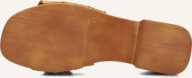 NOTRE-V 8657 NOTRE-V 8657 - large