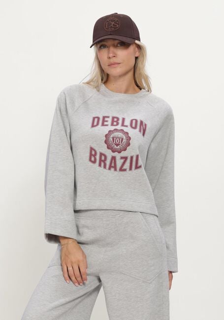 Grijze DEBLON SPORTS Sweater AYMEE SWEATER - large