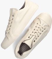 Witte BAMBURISTA Lage sneakers GRASSHOPPER CACATOO LOW - medium