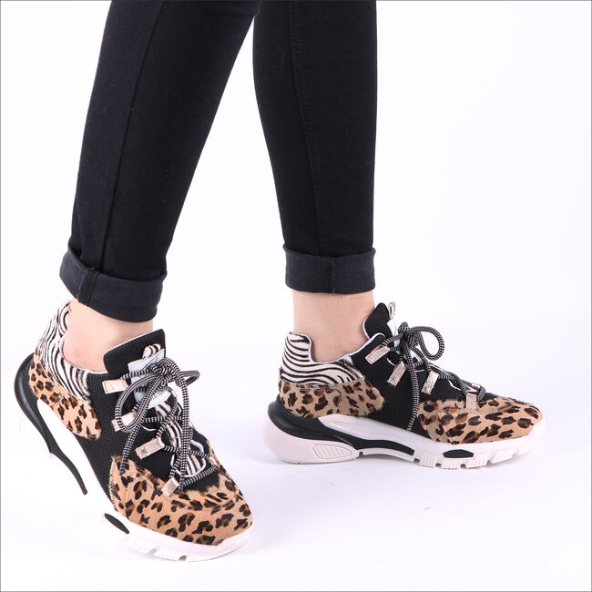 Zwarte TORAL Lage sneakers 11101 Zwarte TORAL Lage sneakers 11101 - large