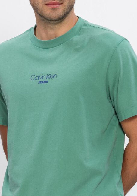 Groene CALVIN KLEIN T-shirt SS 20S ACID WASH GRAPHIC CREWNK - large