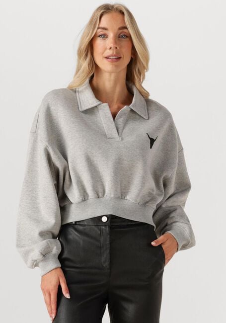 Grijze ALIX THE LABEL Sweater LADIES KNITTED POLO SWEATER - large