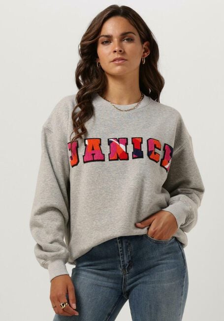 Grijze JANICE Trui SWEATER DAMES ANDY LOGO - large